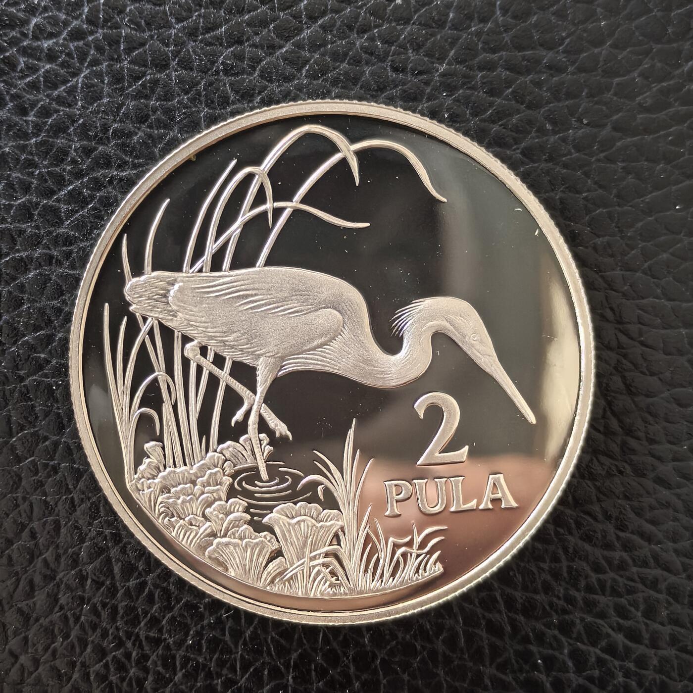 道一币馆币章第一百五十九场