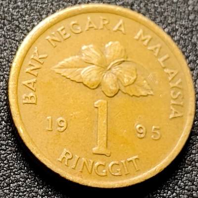 泉币菌-第143场-精品福利场 - 1995年  马来西亚 1林吉特 黄铜硬币 24mm 大红花扶桑朱瑾