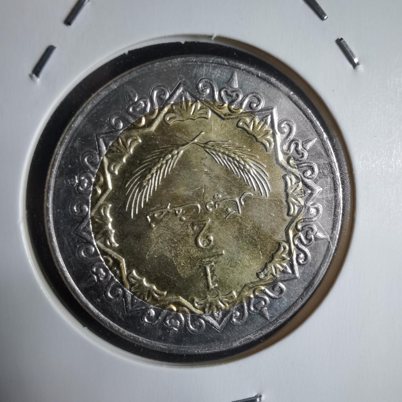 沼泽如烟--第928场 利比亚1372年二分之一第纳尔非公历