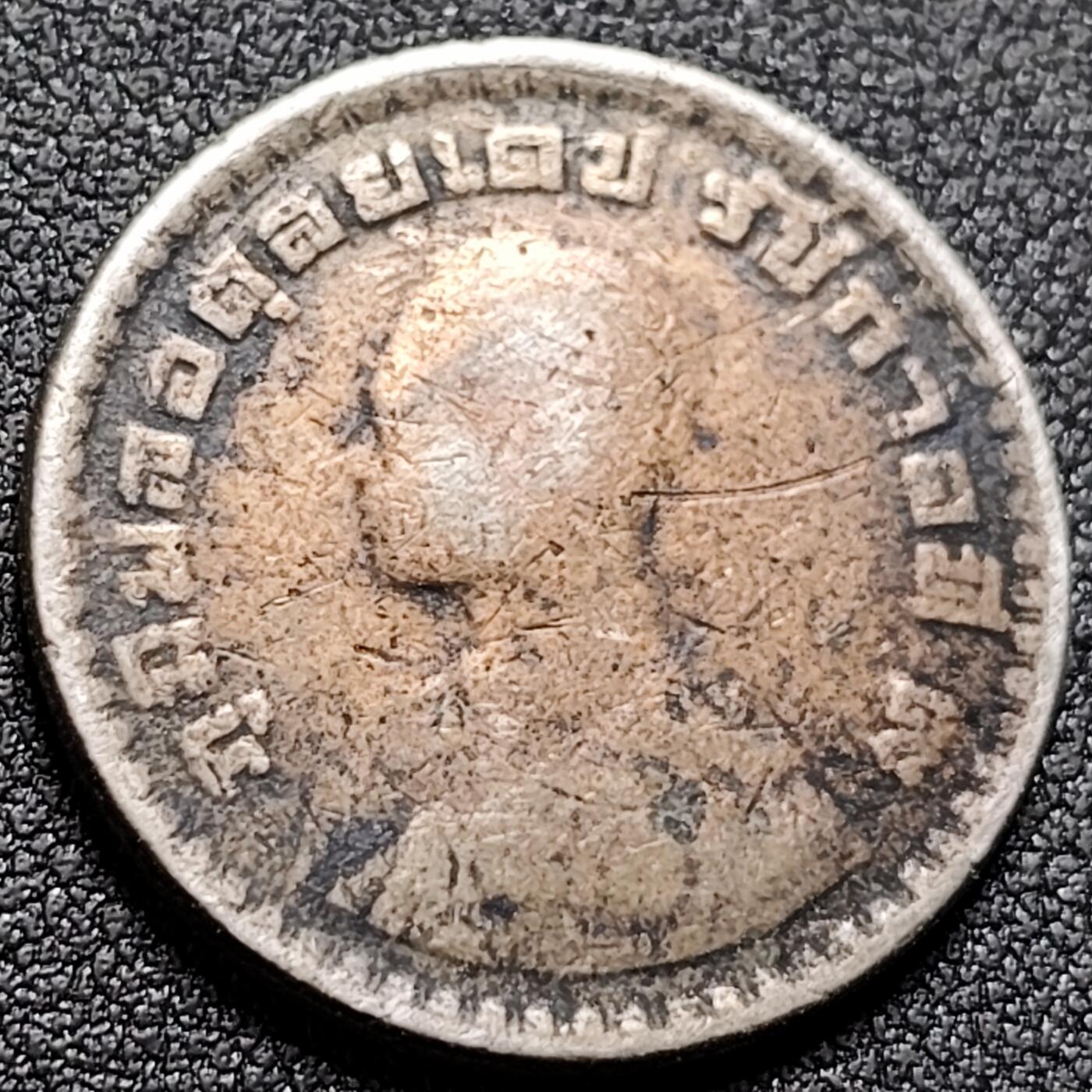 泉币菌-第145场-精品福利场 。