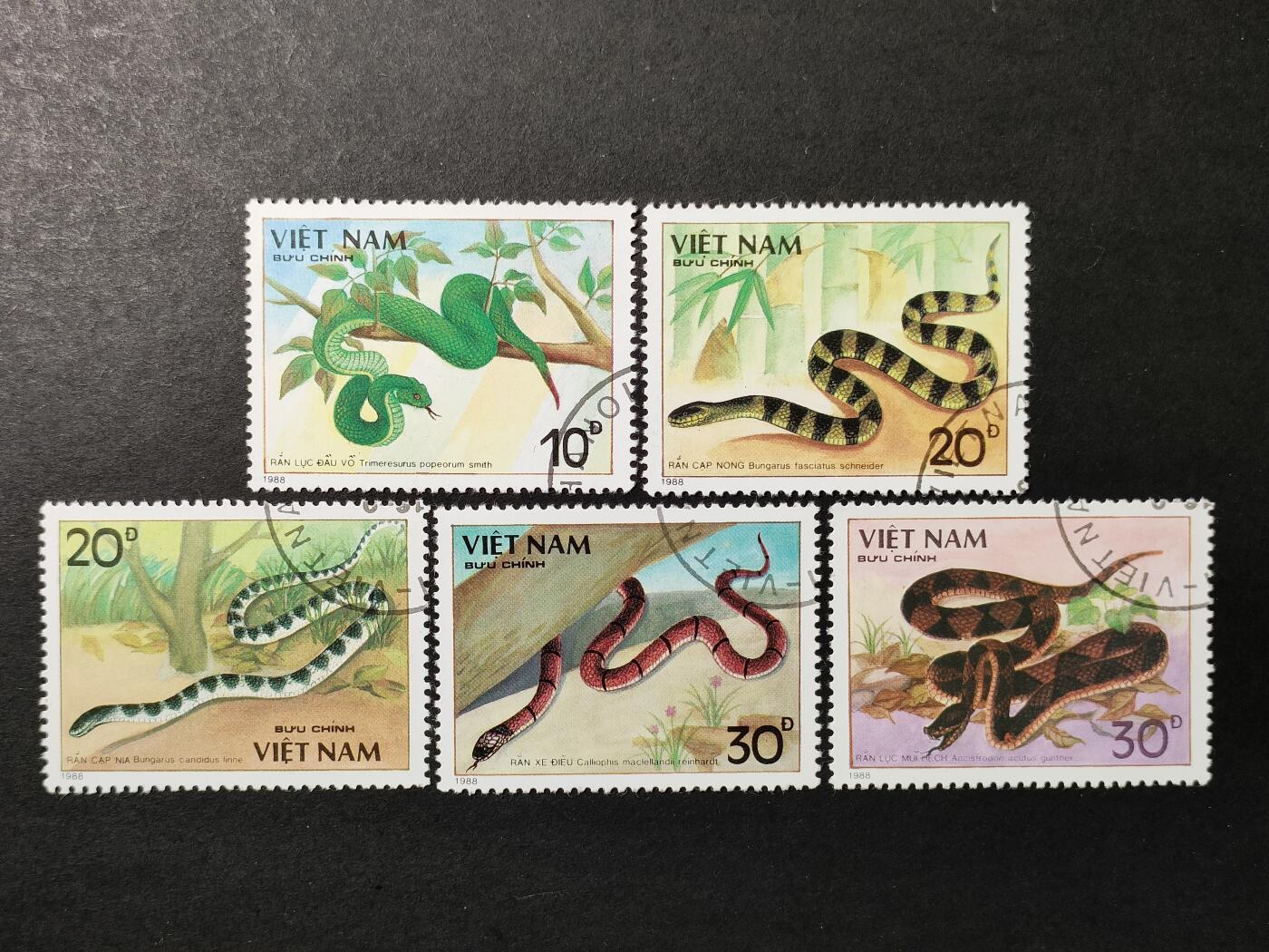 ↓君缘收藏677期☞钱币邮品↓无佣金、可寄存、满30元包邮 