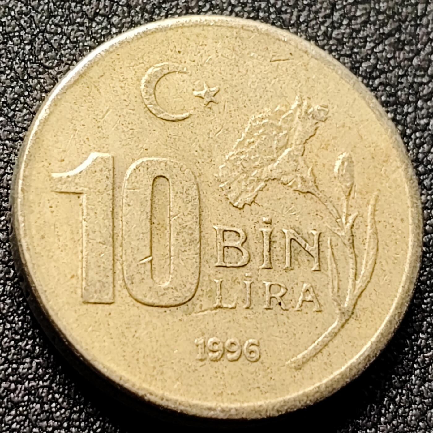 泉币菌-第145场-精品福利场 。