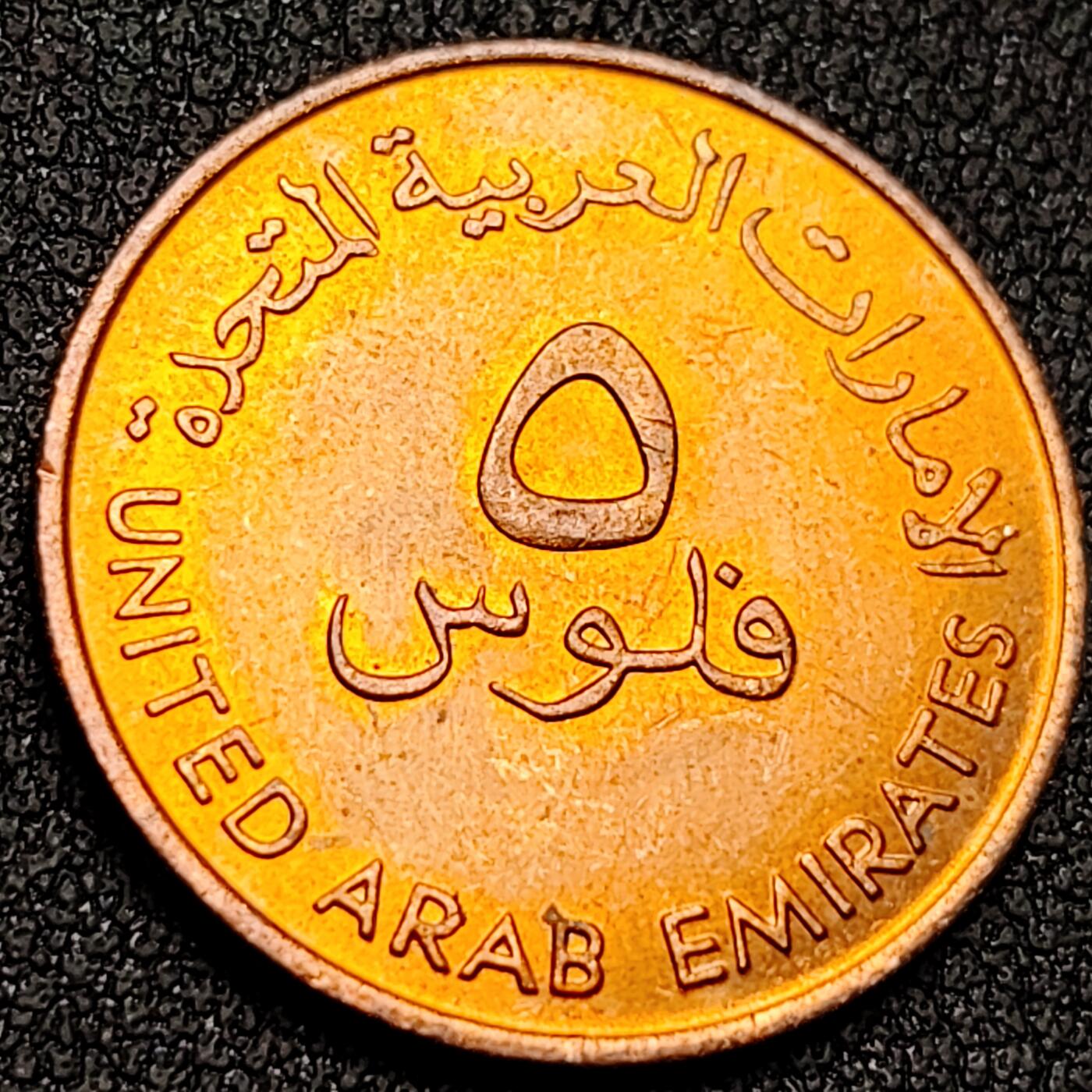 泉币菌-第145场-精品福利场 。