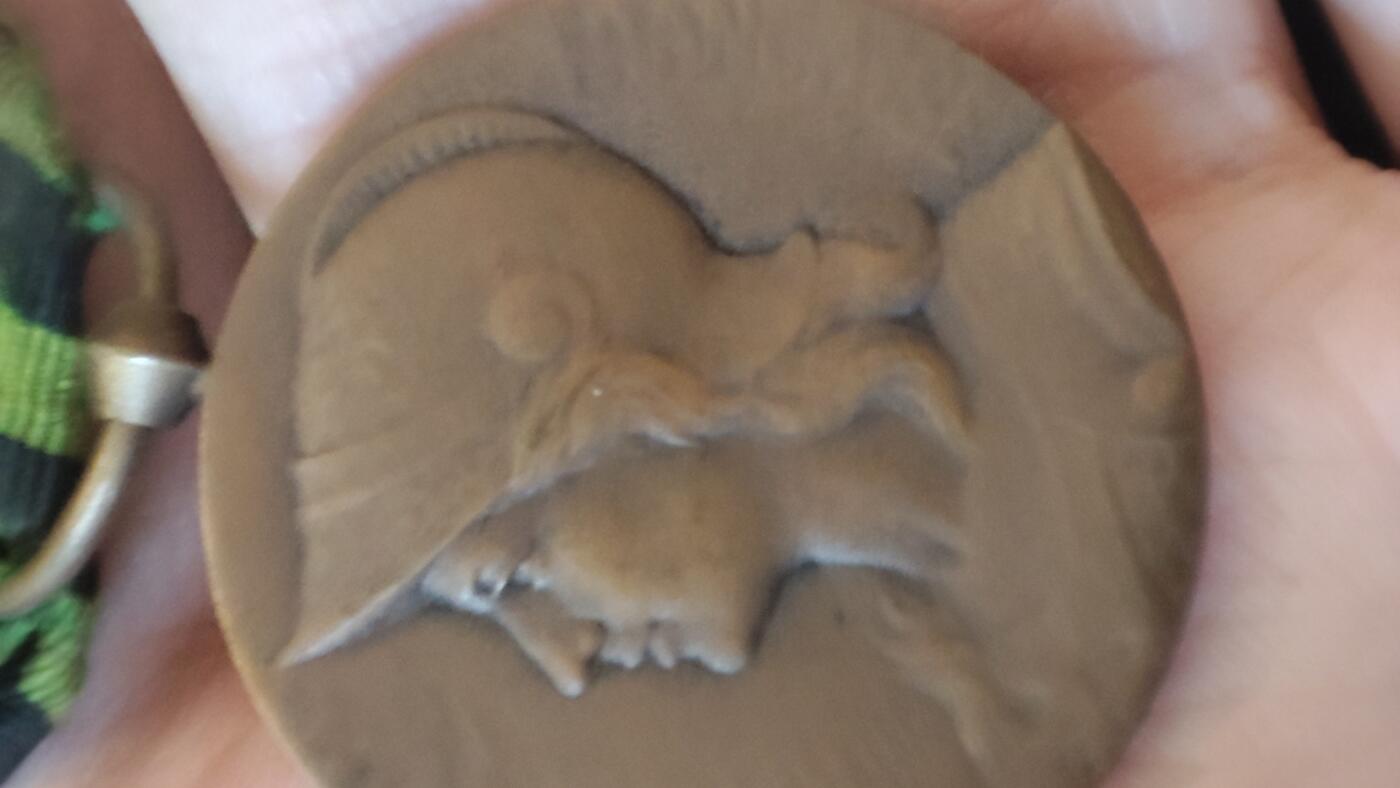 全场0元起拍，周六（12.13）下午5点开始，第70期