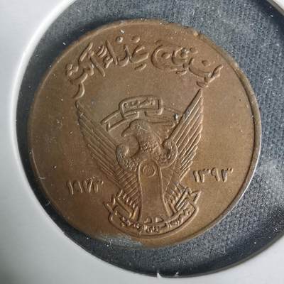 沼泽如烟--第929场 - 苏丹