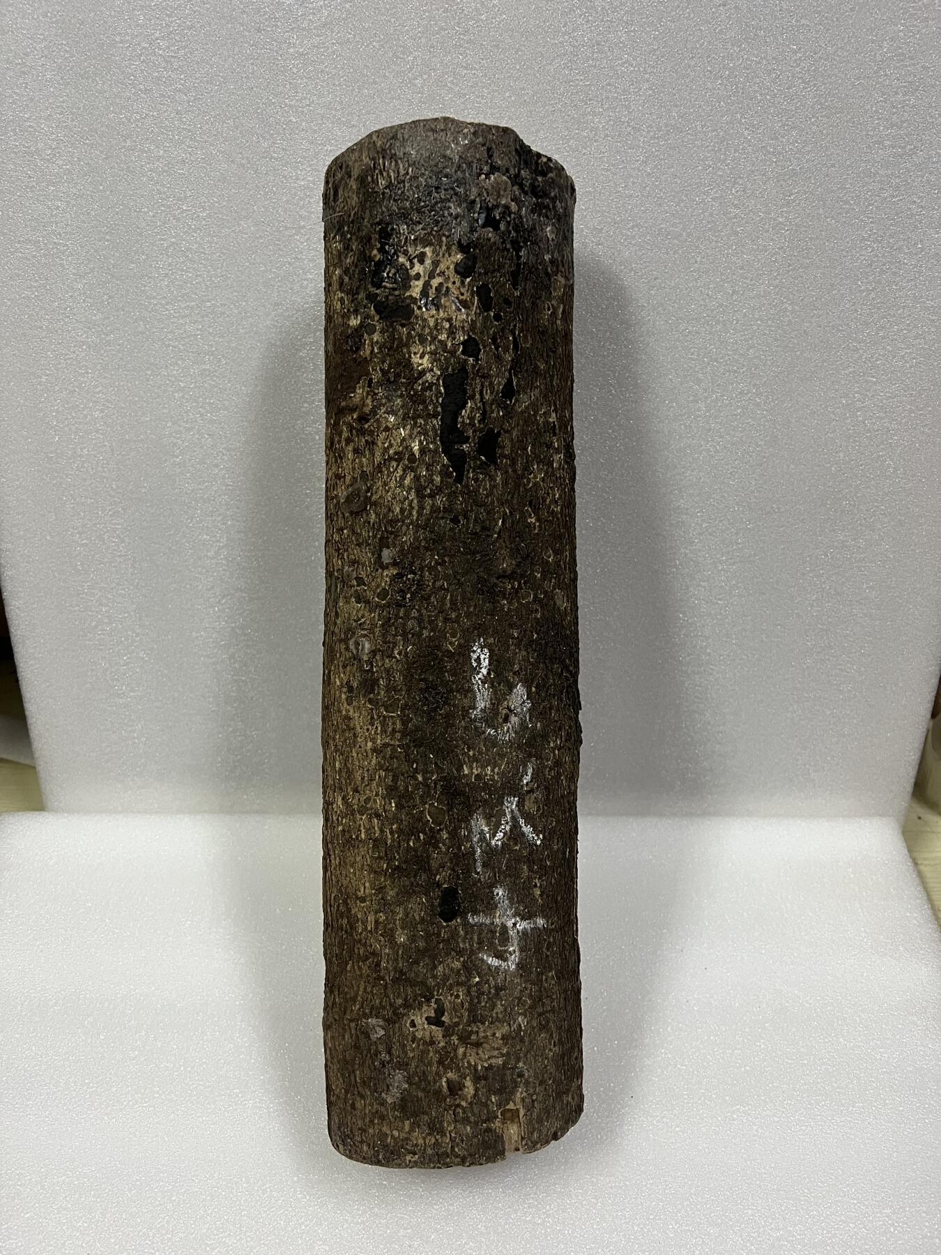 零元拍： 金丝楠 原木 发横财（材）带皮，两端封了防裂胶， 尺寸：43.5/11.5CM。六斤多重。抛光后金灿灿满香。最后一图为成品效果。