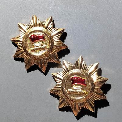 PCAI钱币  12-651  古币铜元章小专场 - 先进个人一对