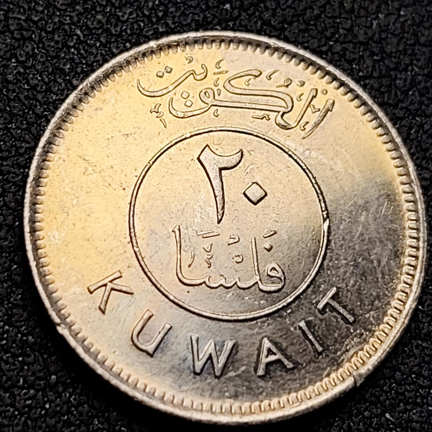 泉币菌-第146场-精品福利场  。