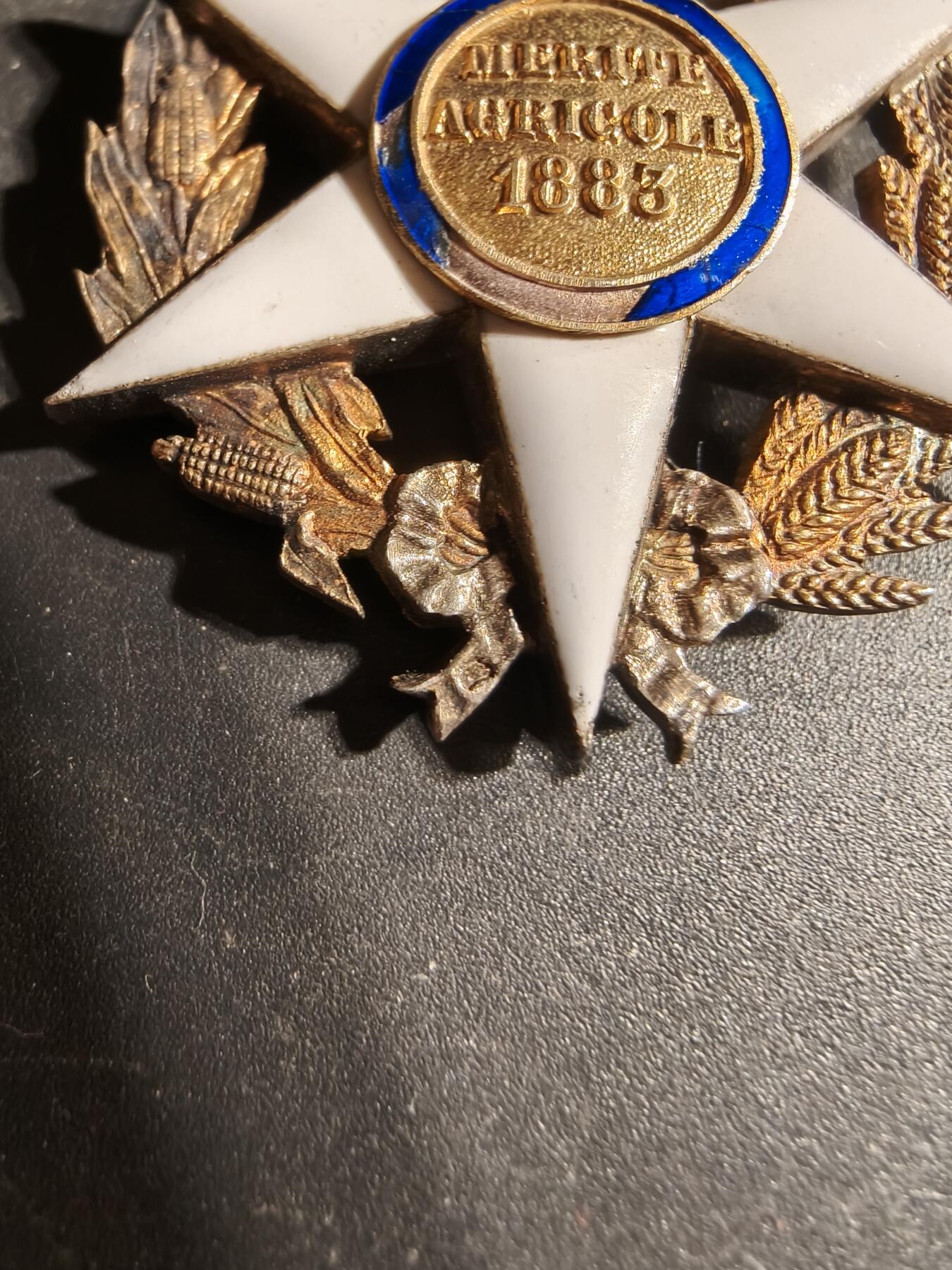 老王徽章第169期 法国骑士级农业功绩勋章     原盒     银质珐琅