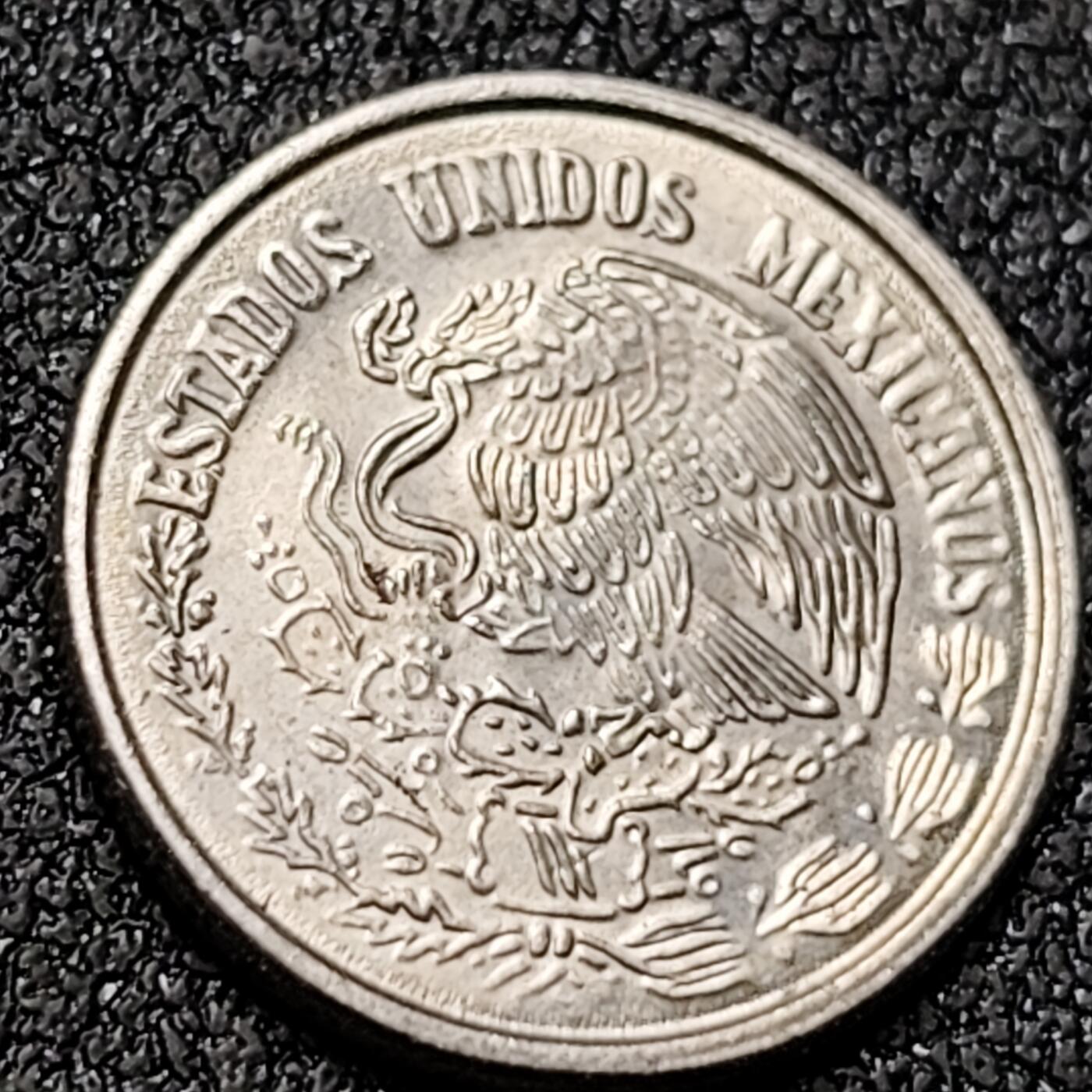 泉币菌-第145场-精品福利场 。