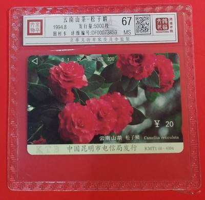 《鸿通俱乐部》拍卖第67期 12月10日21：00延时节拍 - 云南田村新卡《山茶花-松子麟散卡1枚》 鸿通  67分