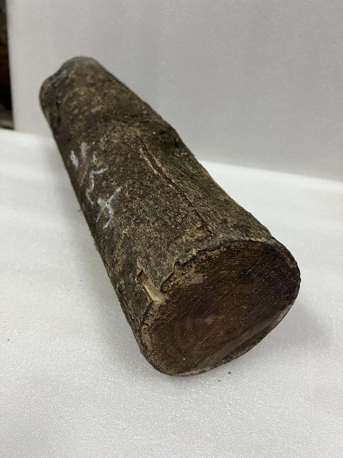 零元拍： 金丝楠 原木 发横财（材）带皮，两端封了防裂胶， 尺寸：43.5/11.5CM。六斤多重。抛光后金灿灿满香。最后一图为成品效果。