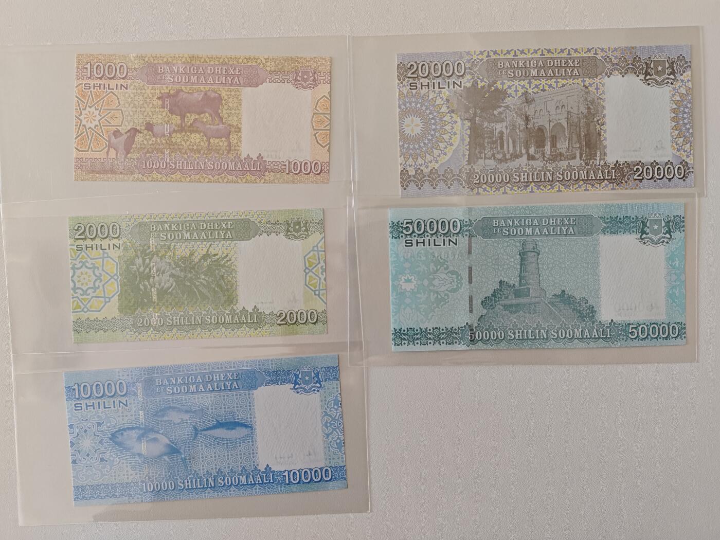 【礼羽收藏】🌏世界钱币拍卖第115期