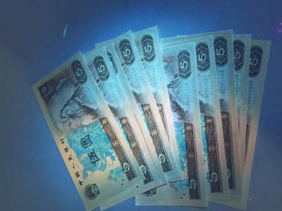 805金网鹤王 - 805金网鹤王