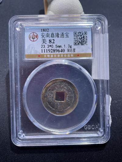 捡漏专场 - 安南嘉隆通宝