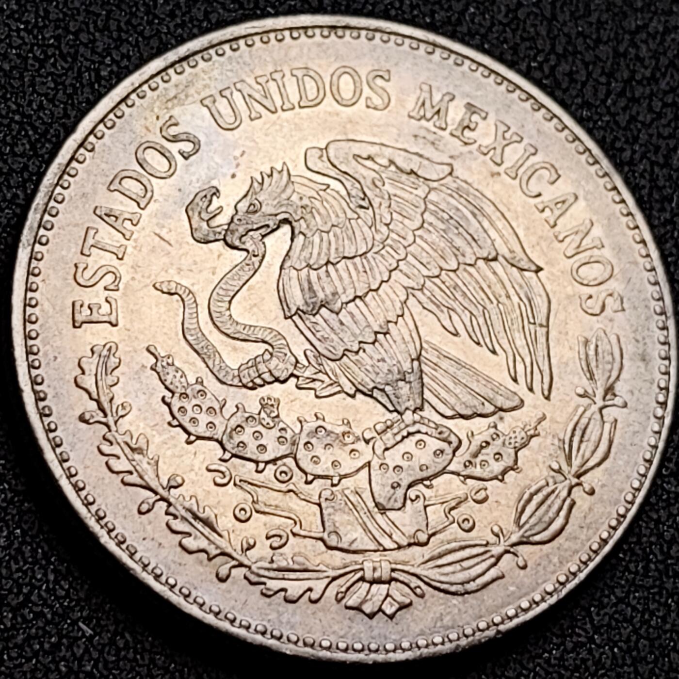 泉币菌-第145场-精品福利场 。