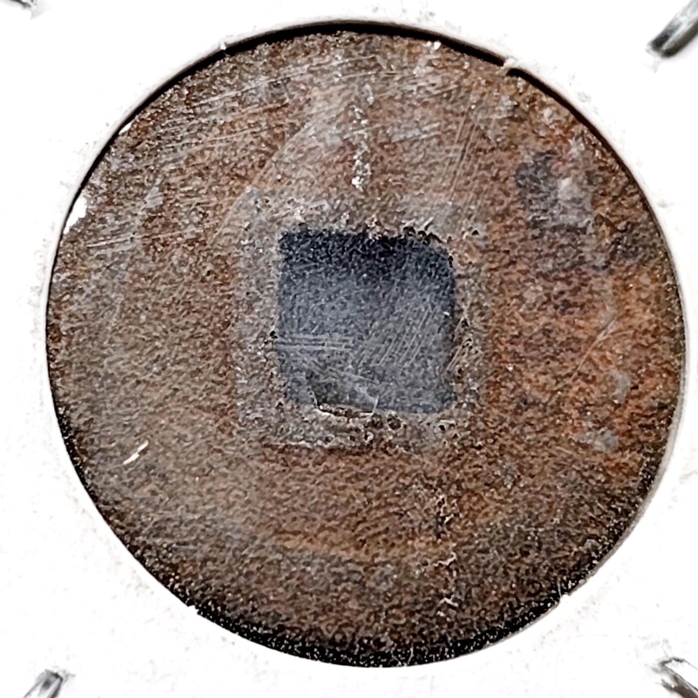 泉币菌-第145场-精品福利场 。