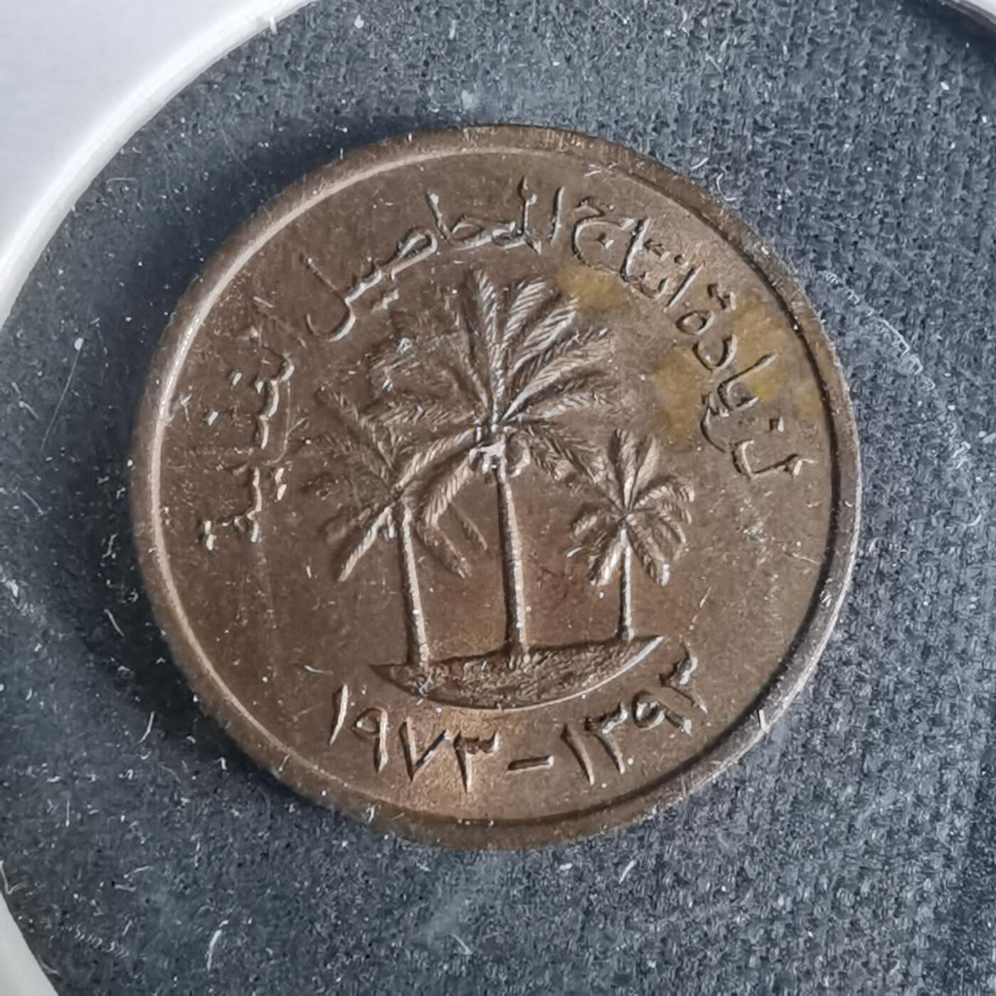 沼泽如烟--第929场 阿联酋