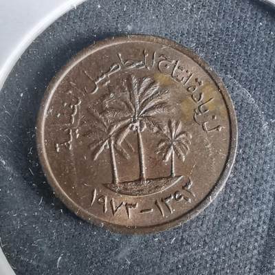 沼泽如烟--第929场 - 阿联酋