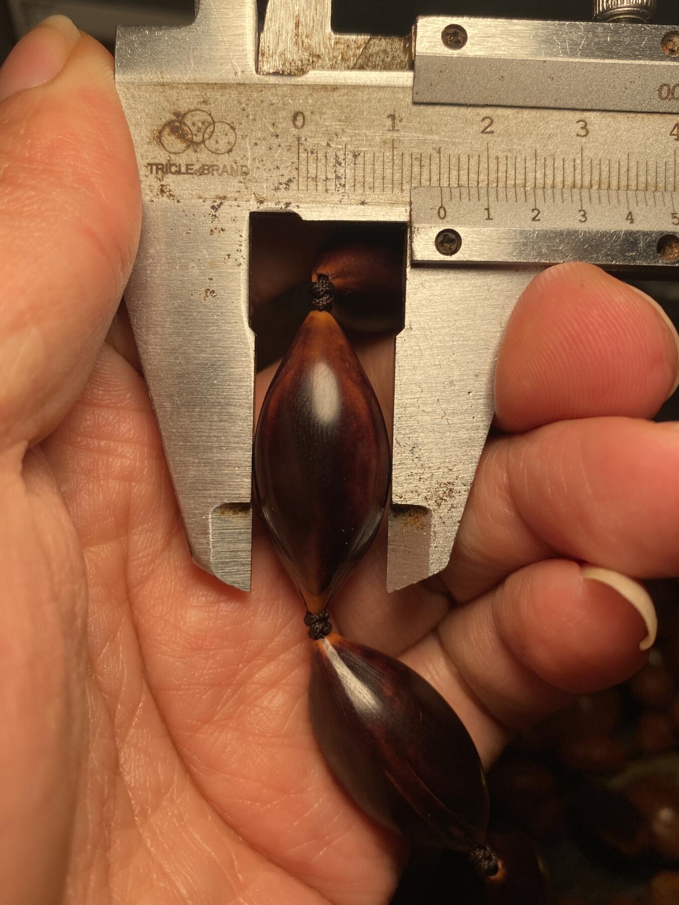 以核会友，中国非物质文化遗产苏工核雕手作 福利苏工核雕，纯手工打磨，天然紫核随型光珠，老料，个性十足，等待有缘人，市场无同款，尺寸1。5x3.25左右喜欢的来