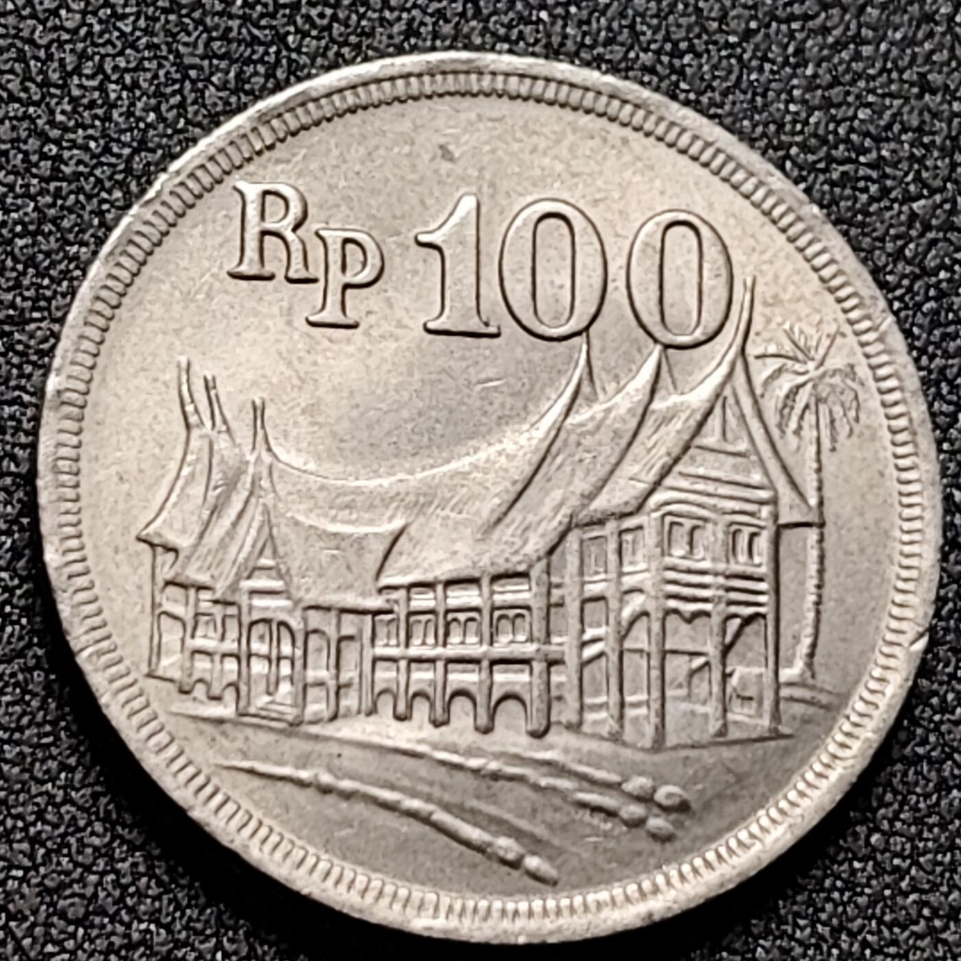 泉币菌-第145场-精品福利场 。