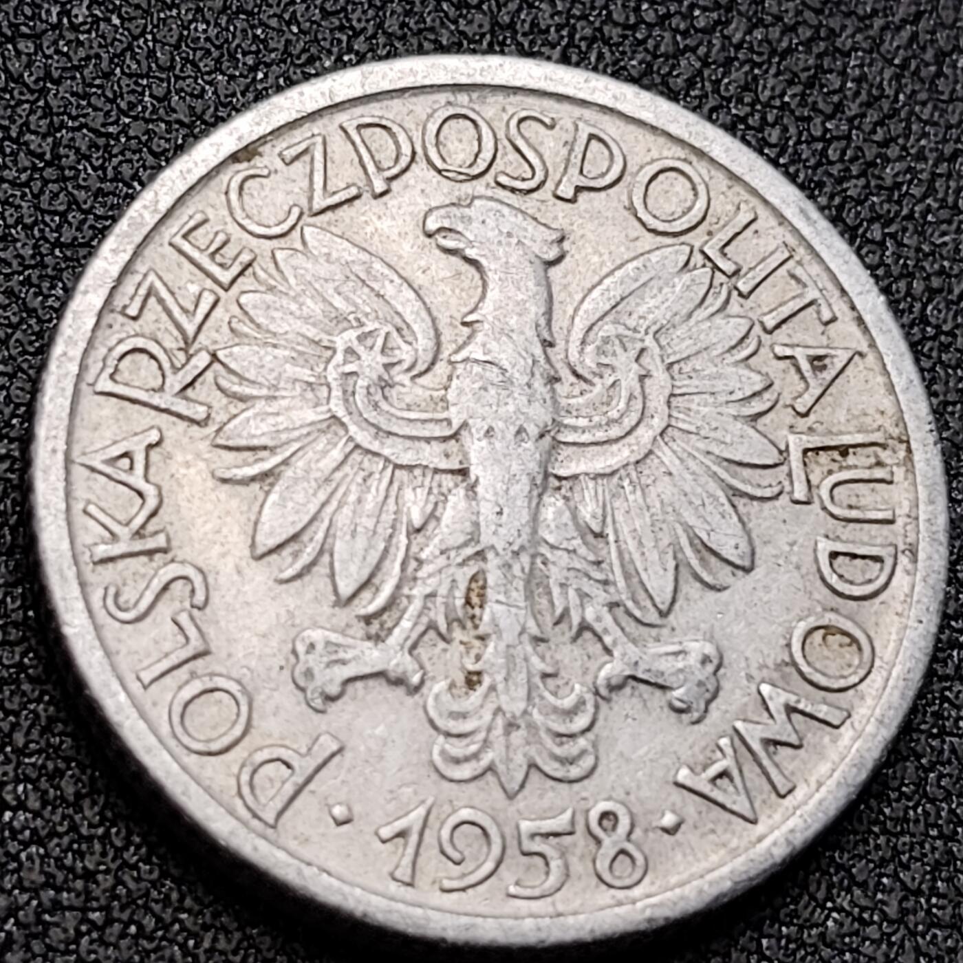 泉币菌-第146场-精品福利场 。