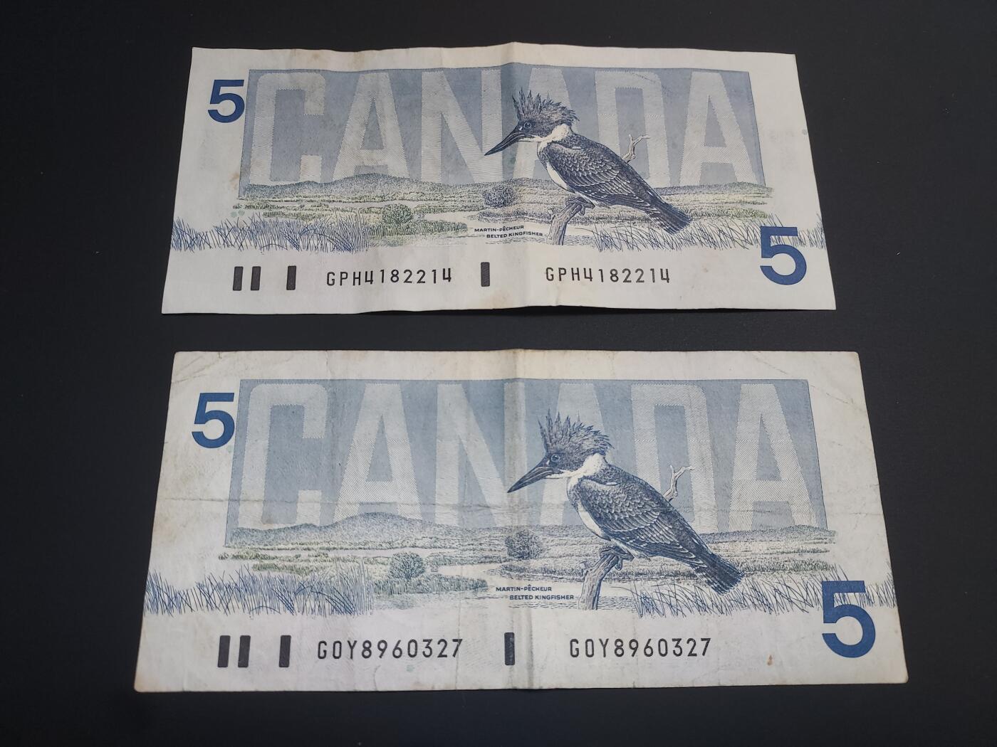 博彦收藏  12月15日 8点 钱币专场 全场包邮