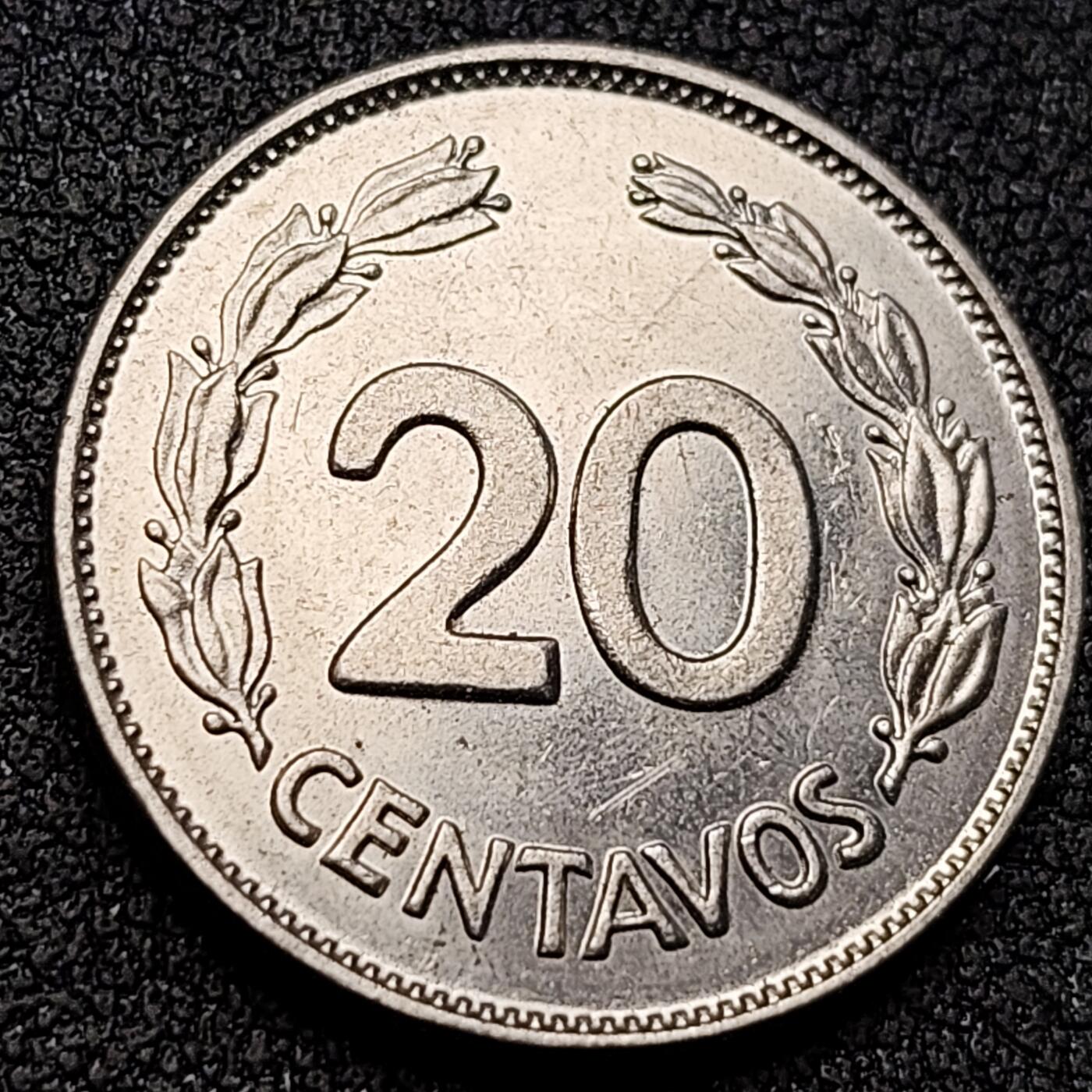 泉币菌-第146场-精品福利场 。