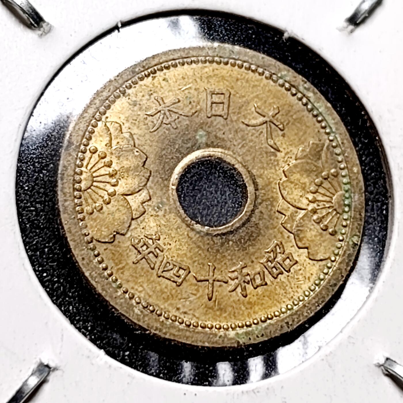 泉币菌-第145场-精品福利场 。