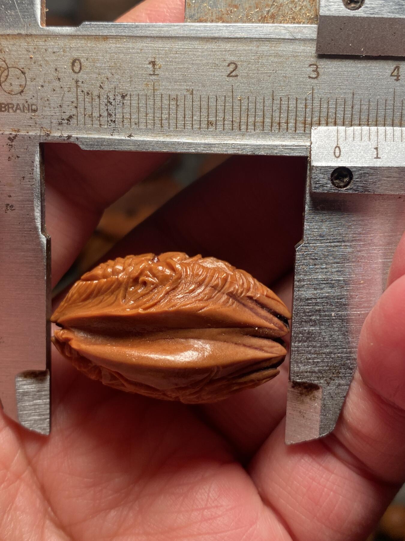 以核会友，中国非物质文化遗产苏工核雕手作