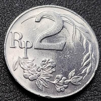 泉币菌-第146场-精品福利场 - 。