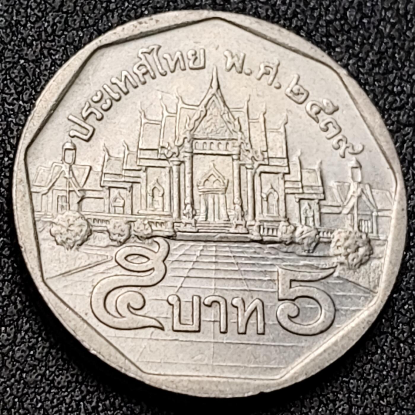 泉币菌-第145场-精品福利场 。