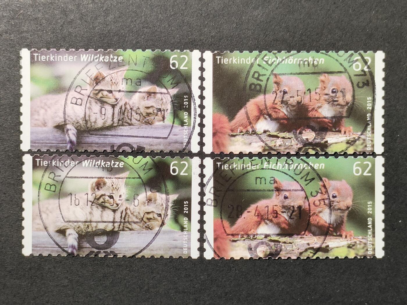 ↓君缘收藏677期☞钱币邮品↓无佣金、可寄存、满30元包邮  德国邮票，2015年动物 松鼠猫幼崽不干胶邮票2全，有2套随机发一套