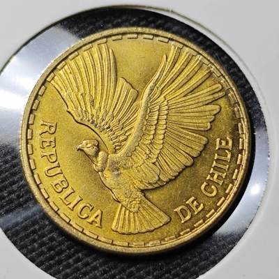 KK钱币收藏小铺 第378期  2月预留时间 周末发货 -  1970智利5分铜币 好品