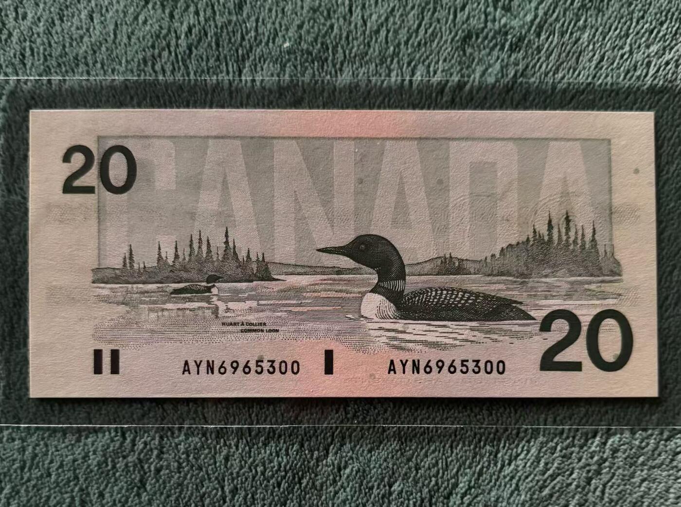 【礼羽收藏】🌏世界钱币拍卖第115期