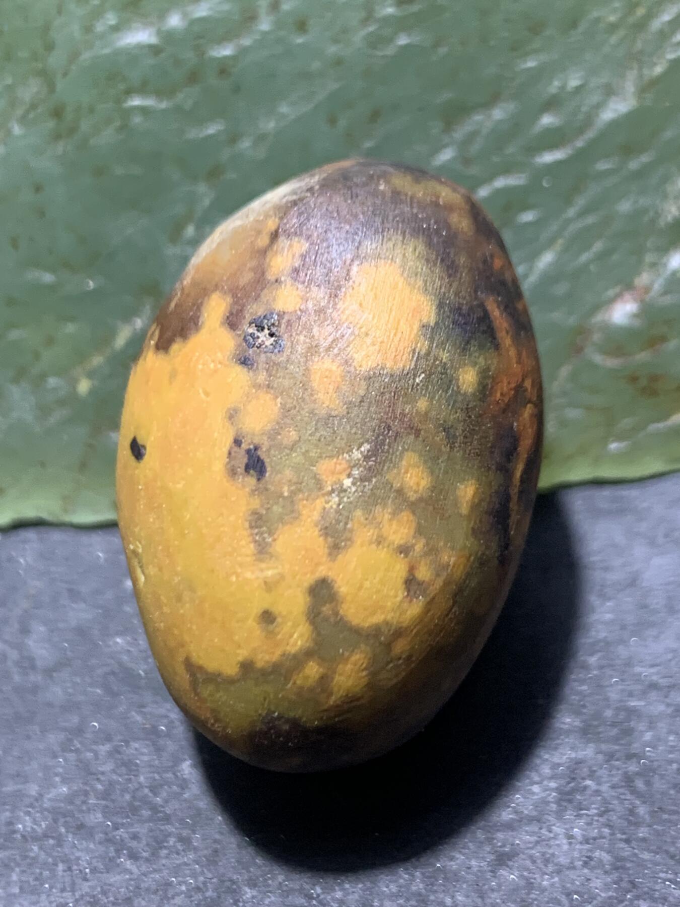 精美战国红玛瑙明料原石一个，