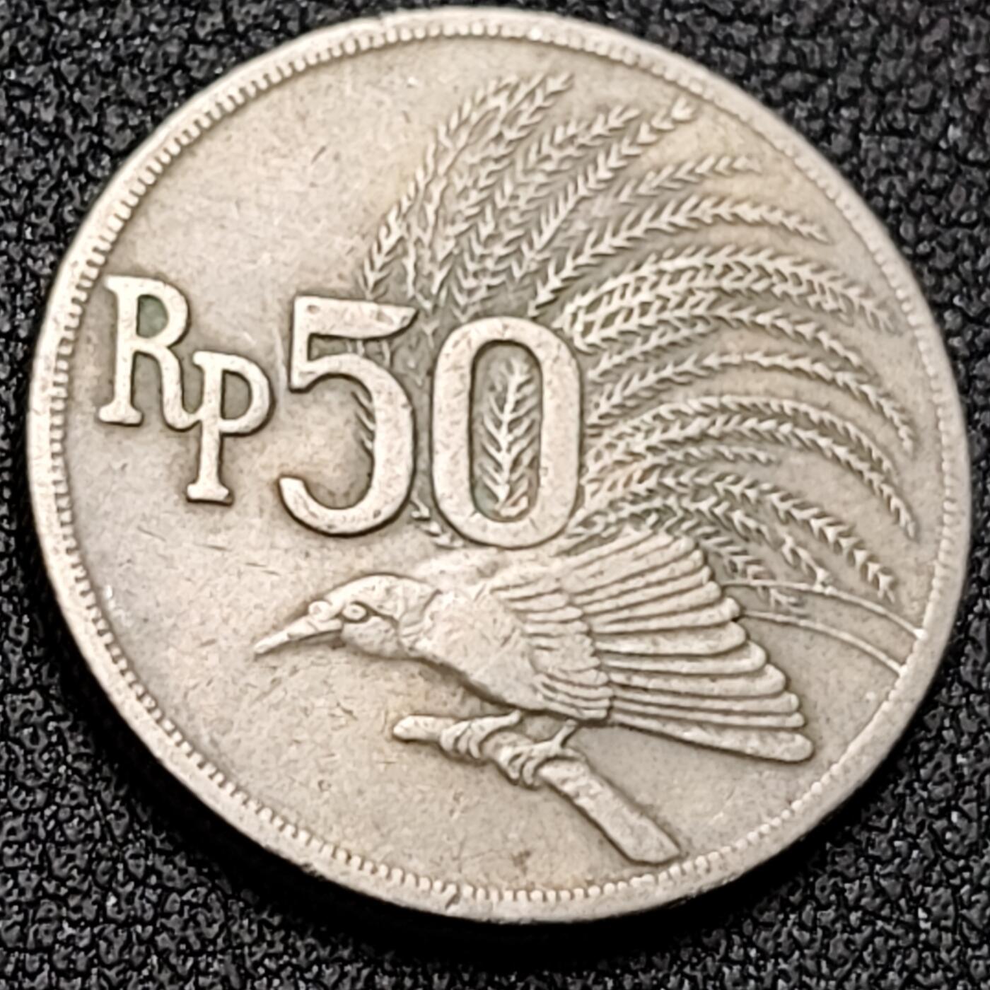 泉币菌-第145场-精品福利场 。