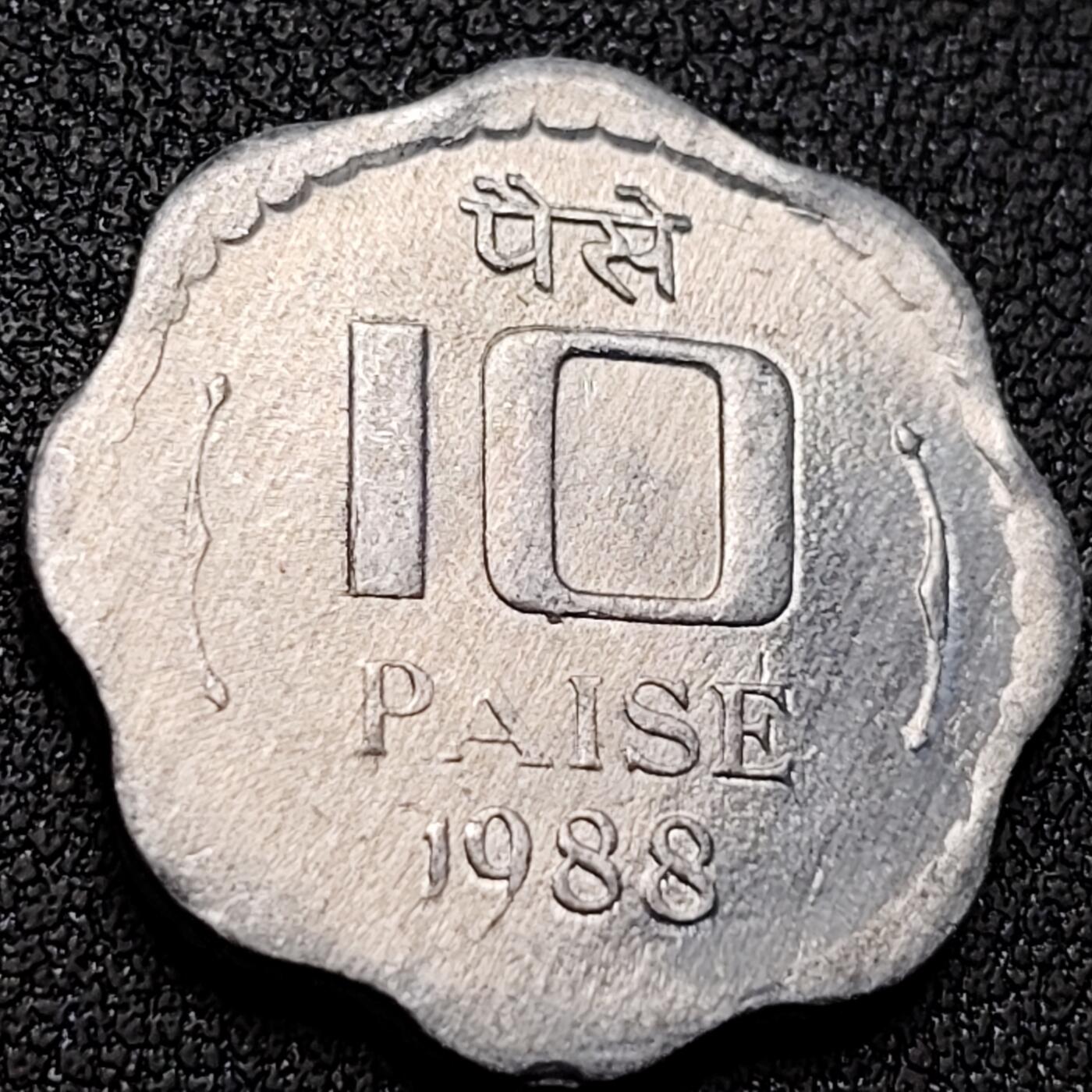 泉币菌-第145场-精品福利场 。