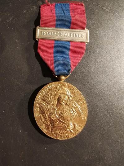 老王徽章第169期 - 法国金级国防服役奖章     山地部队勋条