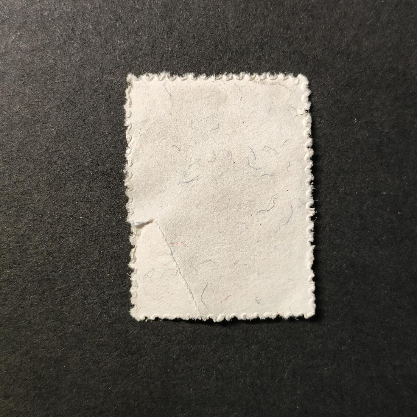 嘉禾收藏    【第403期】            无佣金、可寄存、满30元包邮 邮票一枚