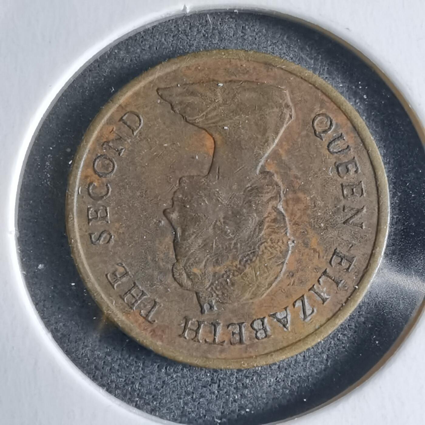 沼泽如烟--第928场 香港1982年一毫