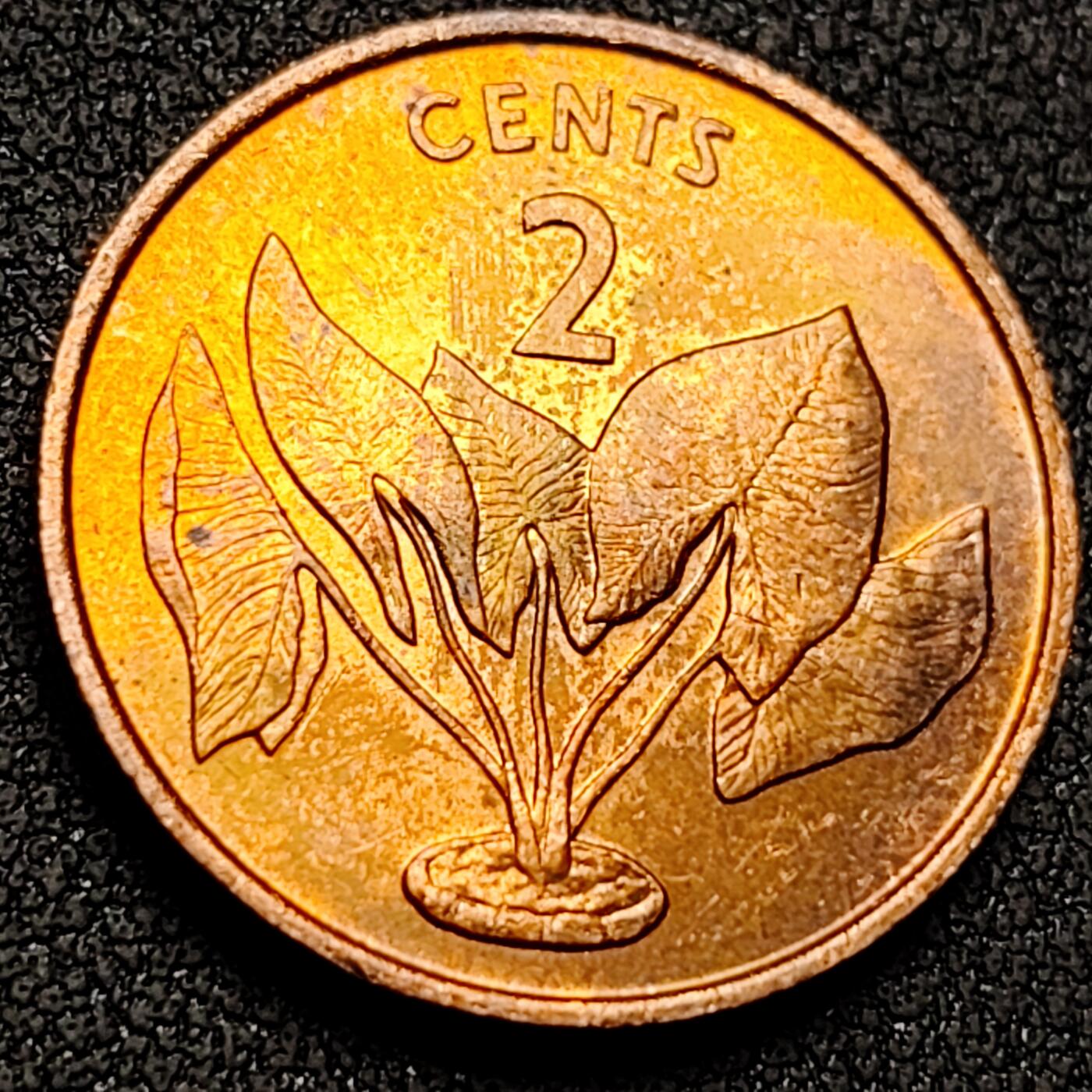 泉币菌-第145场-精品福利场 。