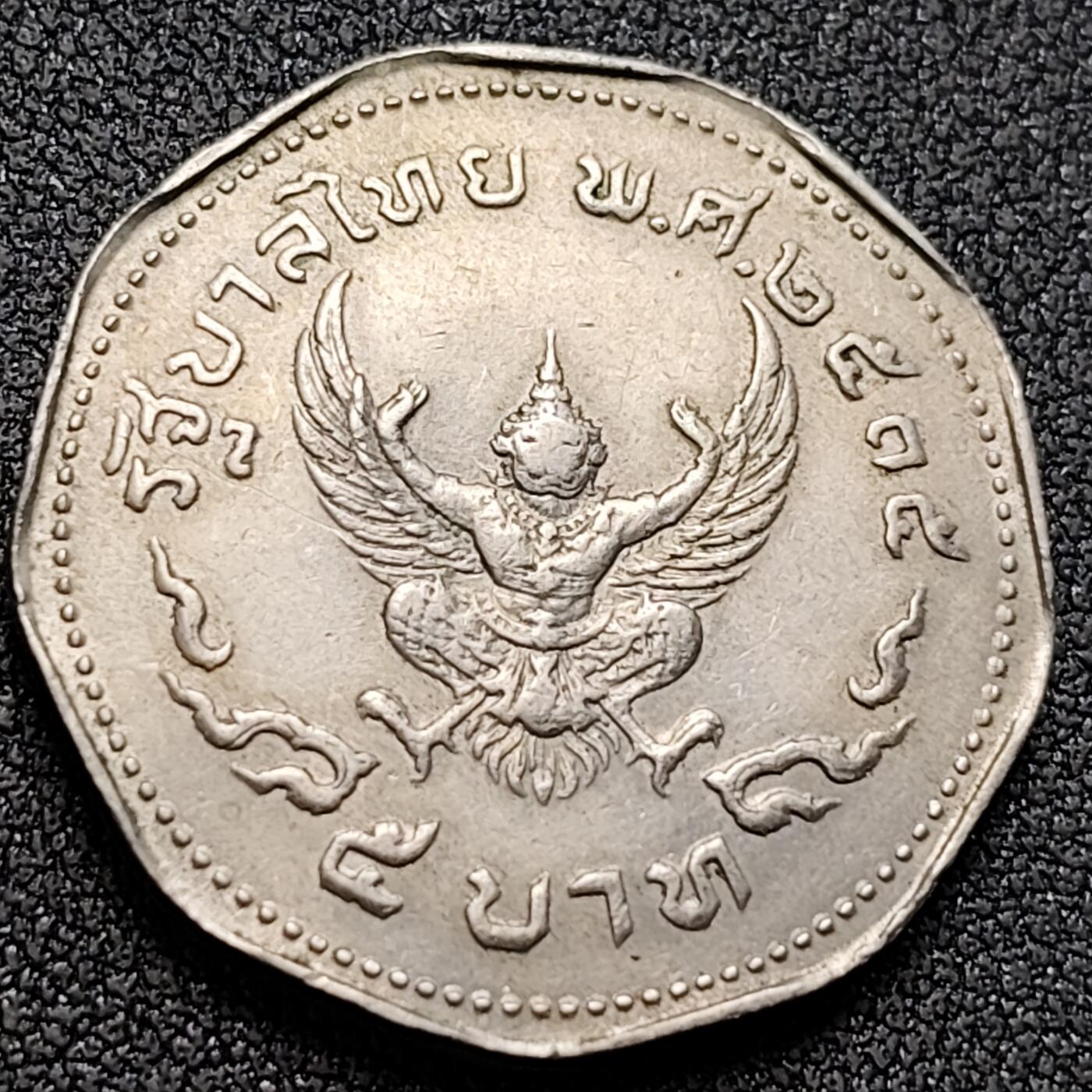 泉币菌-第146场-精品福利场 。