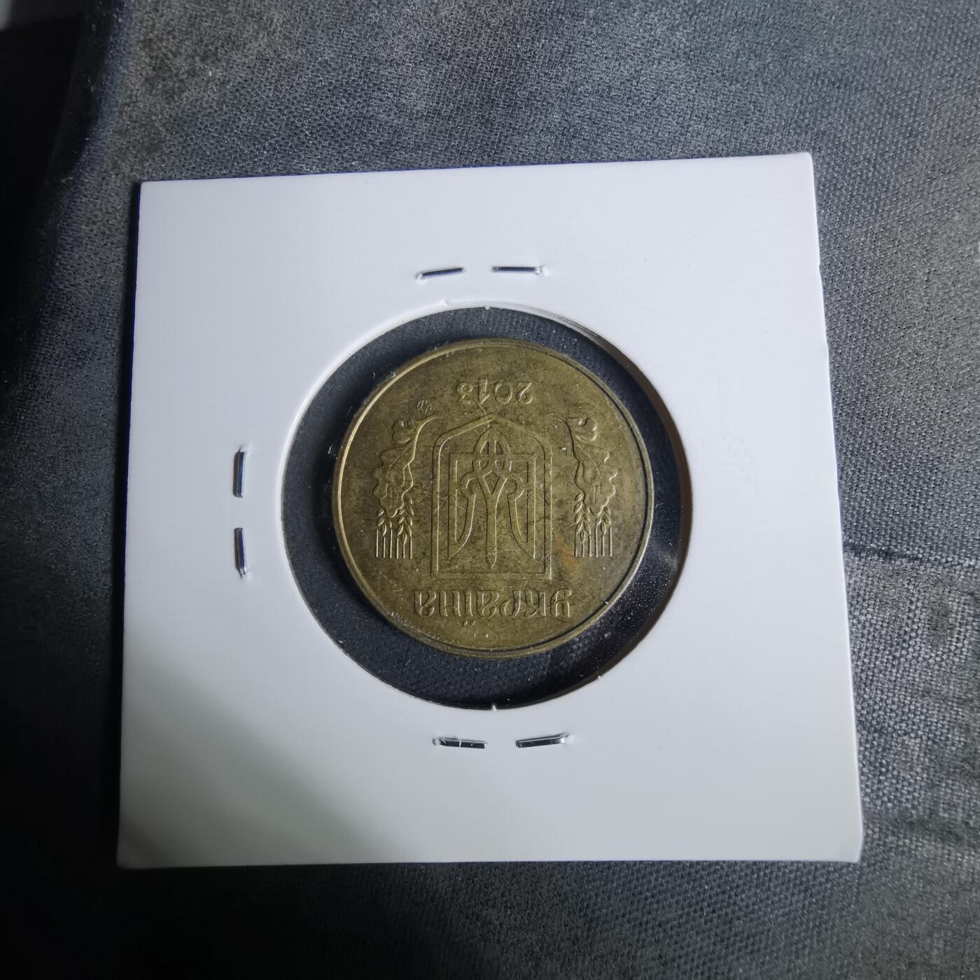 沼泽如烟--第929场