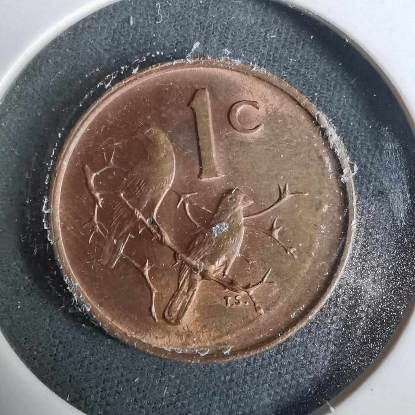 沼泽如烟--第929场 南非1966年一分