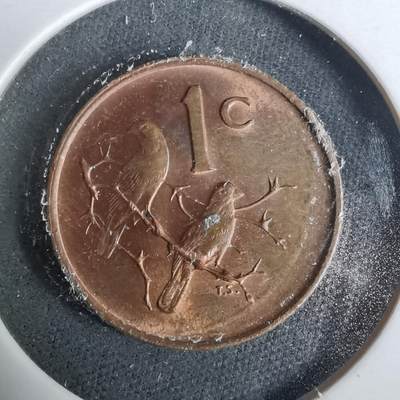 沼泽如烟--第929场 - 南非1966年一分