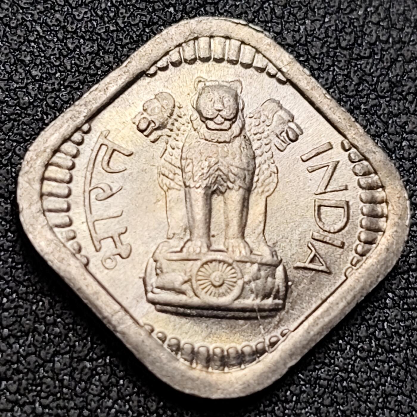 泉币菌-第146场-精品福利场 。