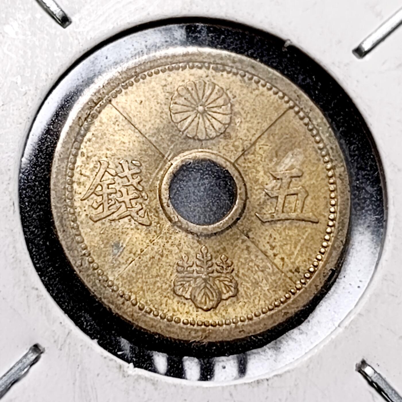 泉币菌-第145场-精品福利场 。