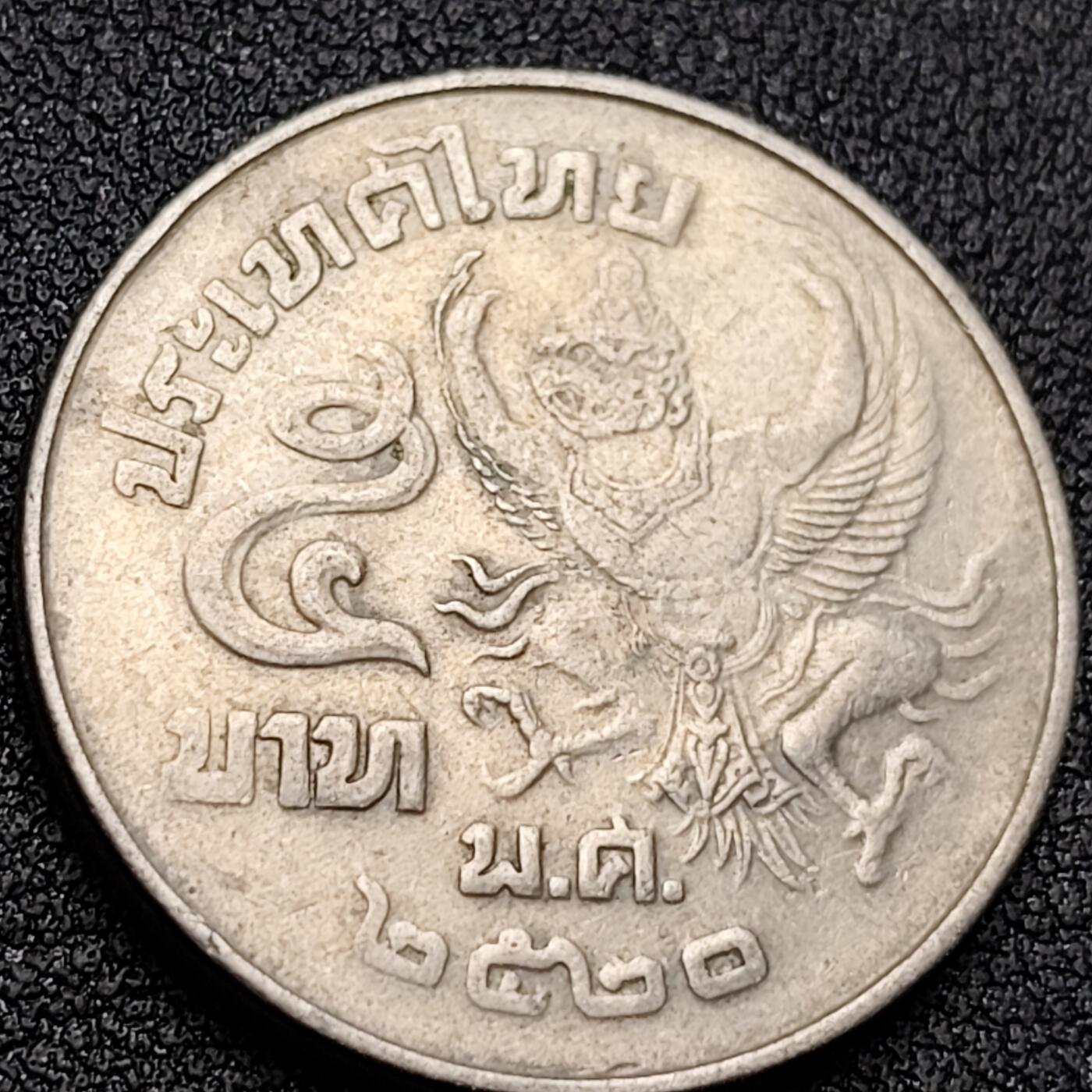 泉币菌-第146场-精品福利场 。