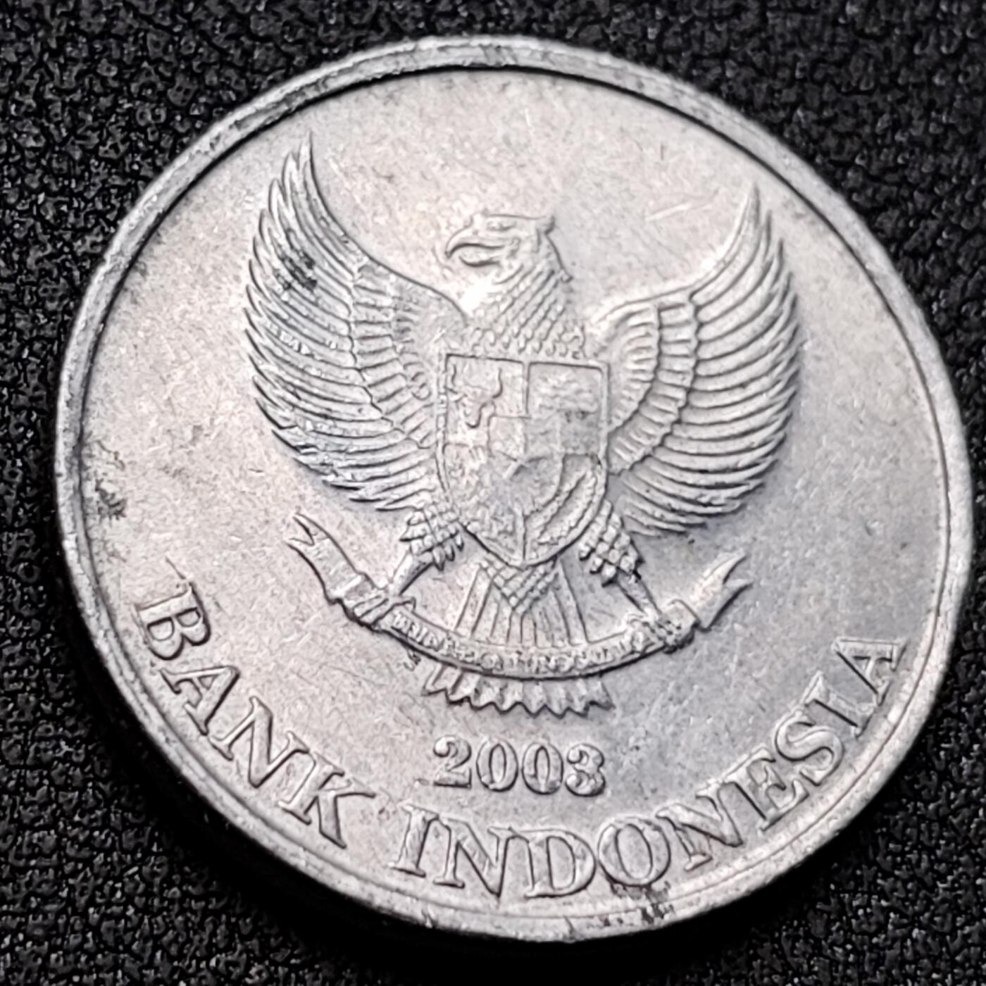 泉币菌-第145场-精品福利场 。